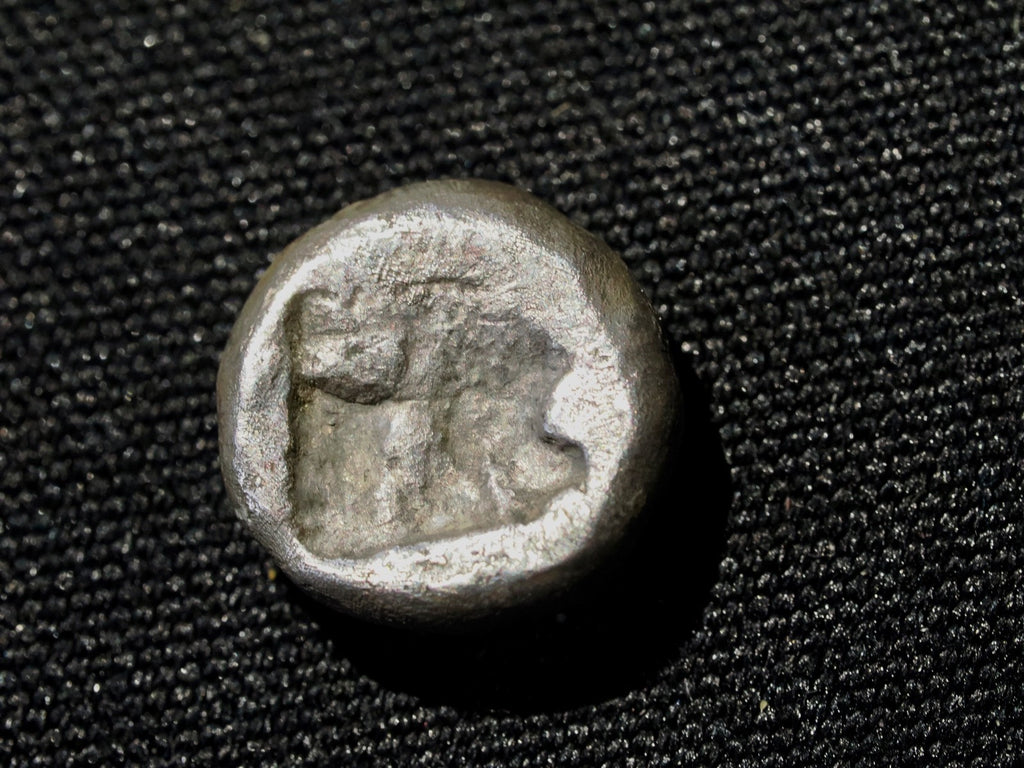 CIMMERIAN BOSPOROS, Pantikapaion. Lions head facing.  Circa 470-460 BC. AR Obol1