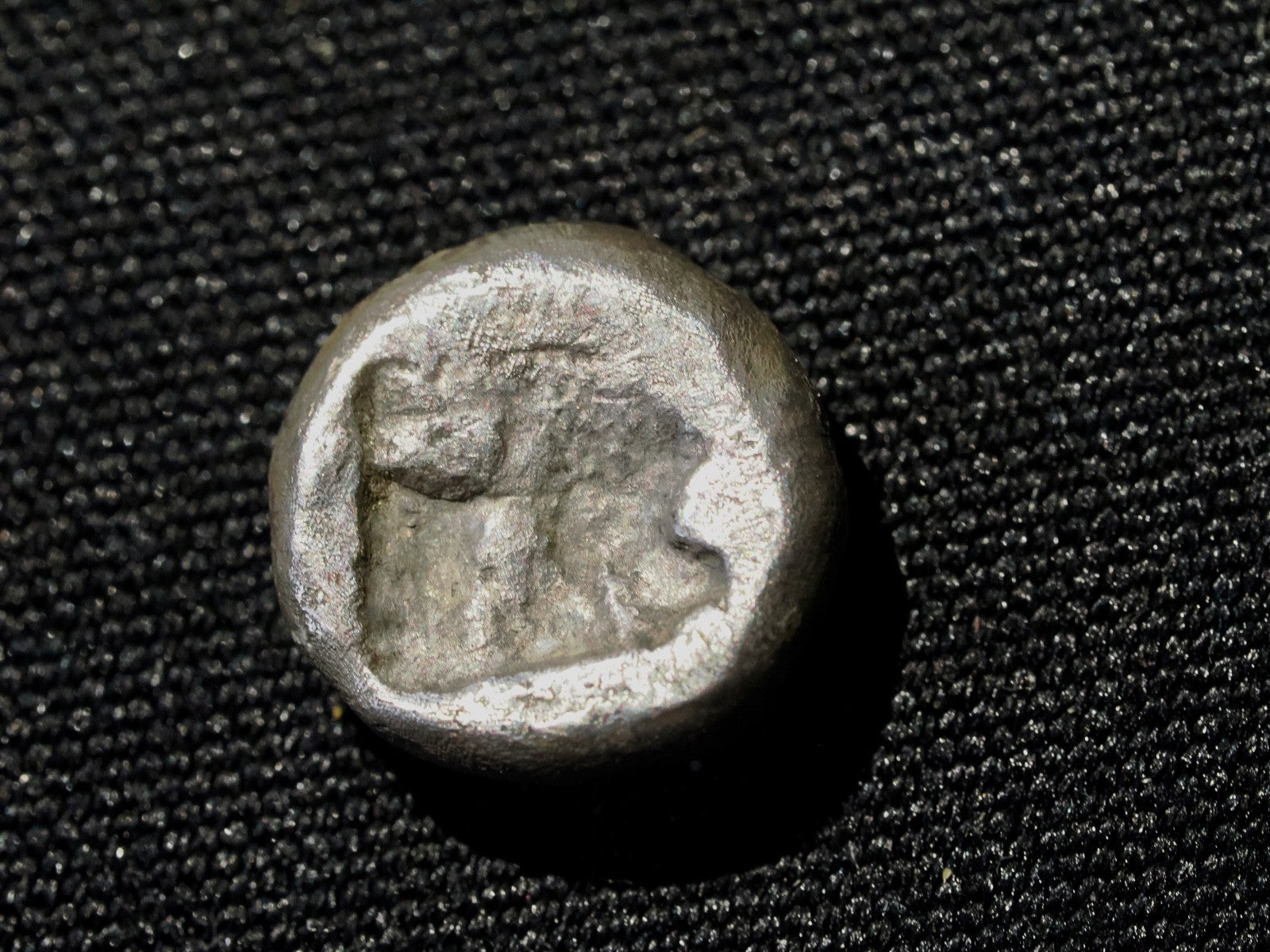 CIMMERIAN BOSPOROS, Pantikapaion. Lions head facing.  Circa 470-460 BC. AR Obol1
