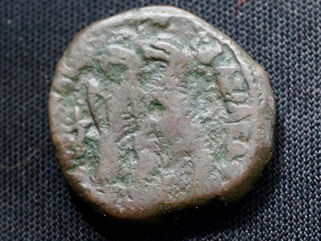 Ptolemaic Kingdom, Ptolemy IV Philopator AE drachm, two eagles1