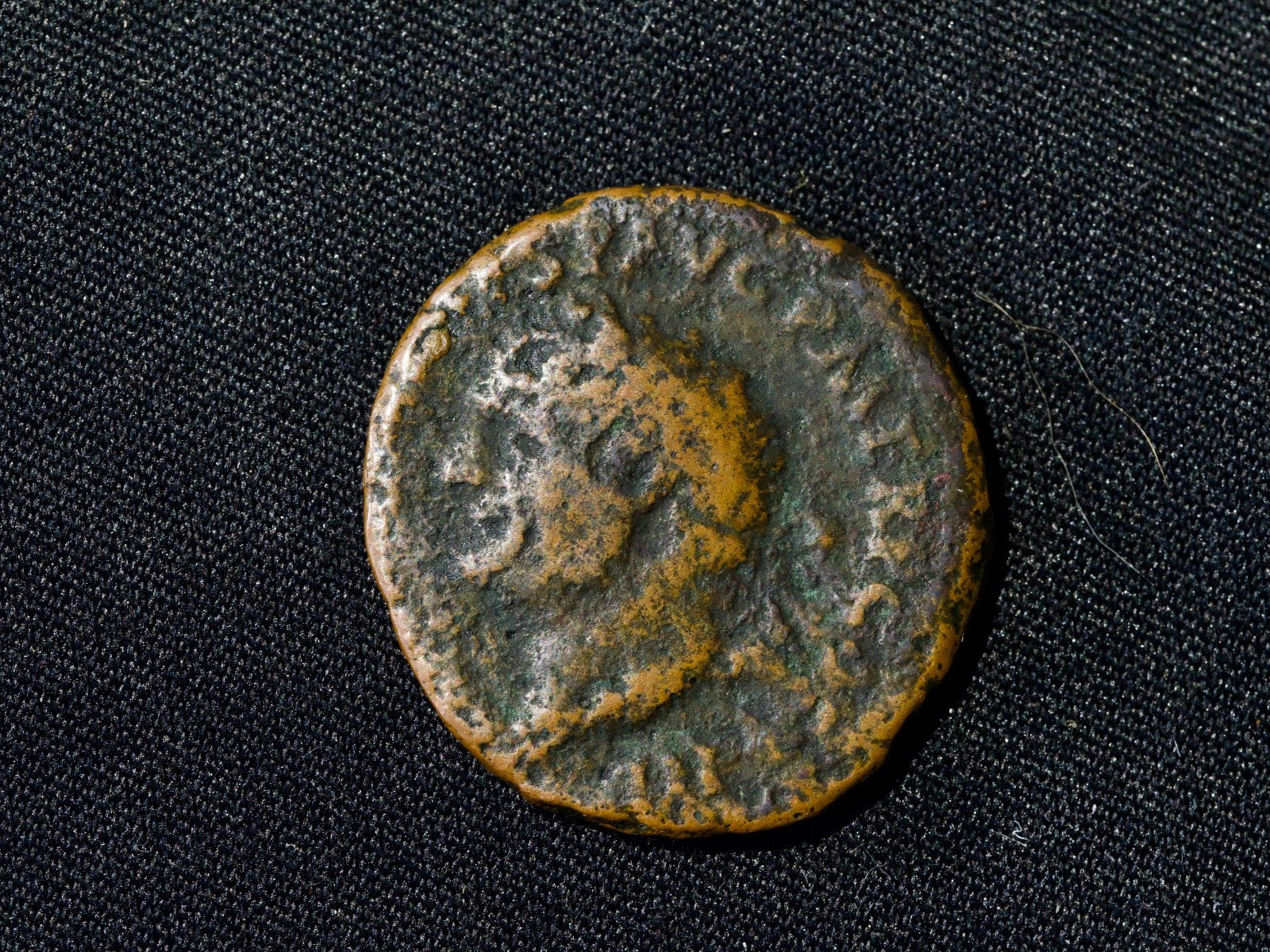 Titus, as Augustus (AD 79-81). AE as , head left-Genius0