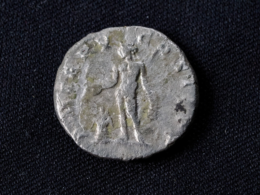 Septimus Severus denarius-Genius reverse.1