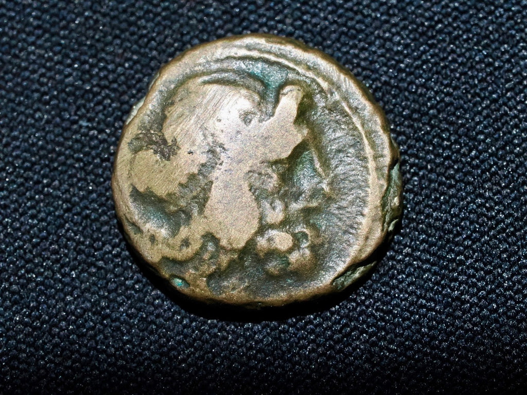 Macedonia, Amphipolis, Bronze Æ, 187-31 BC.  Horse standing right. 5.0 grams0