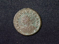Probus Antoninianus, Pax0