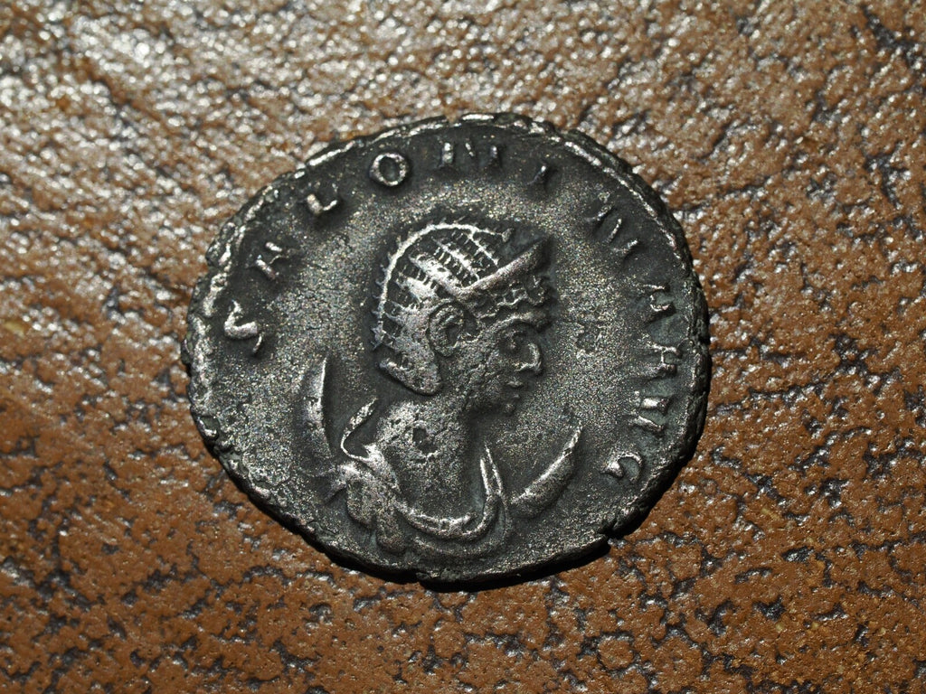 Salonina antoninianus Pudicitia0