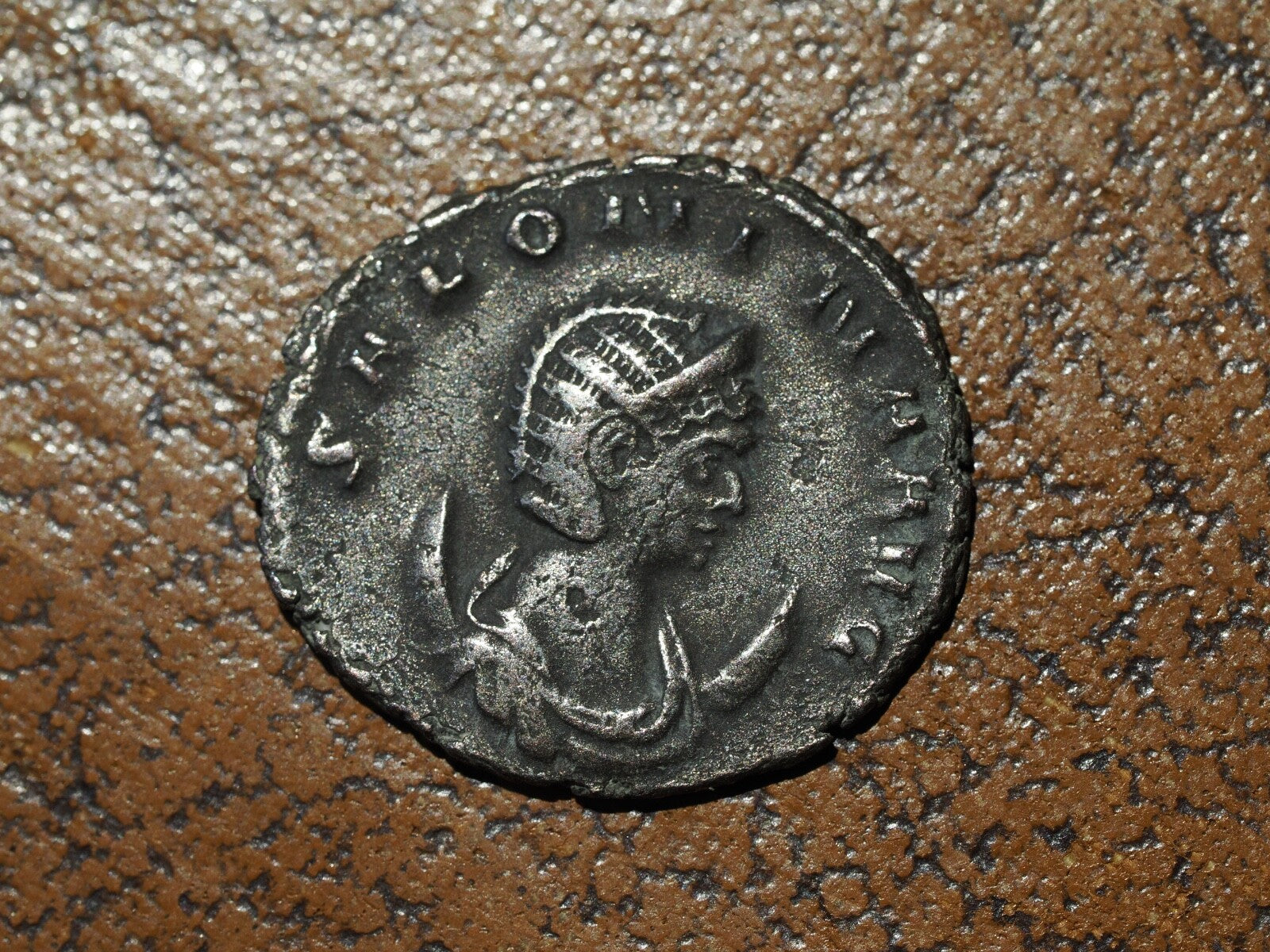 Salonina antoninianus Pudicitia0