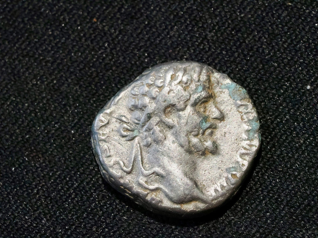 Septimus Severus denarius- Victory walking left,  holding wreath and palm0