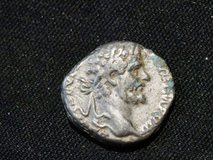 Septimus Severus denarius- Victory walking left,  holding wreath and palm