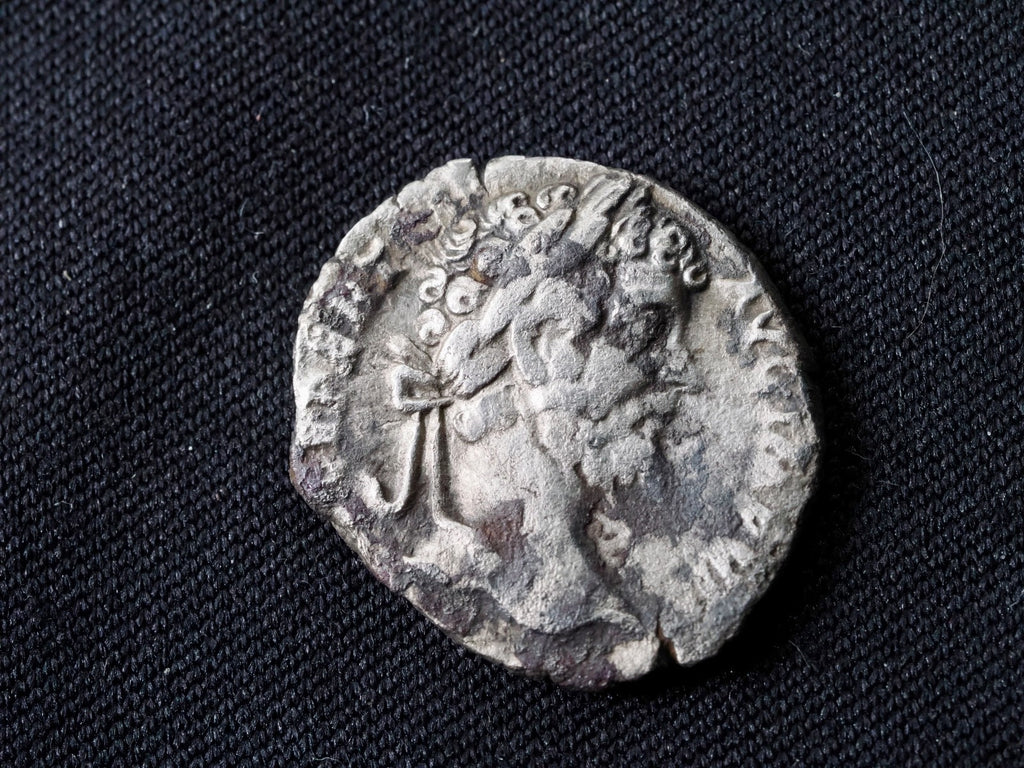 Septimus Severus denarius-Victory reverse.0