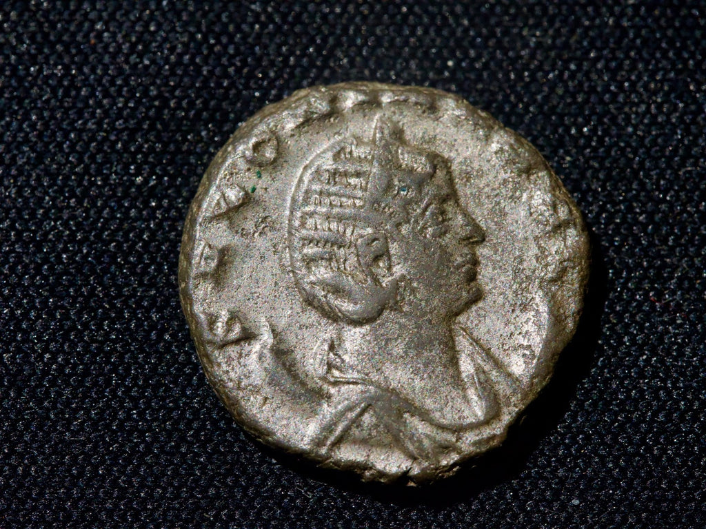 Salonina antoninianus-Vesta Felix0