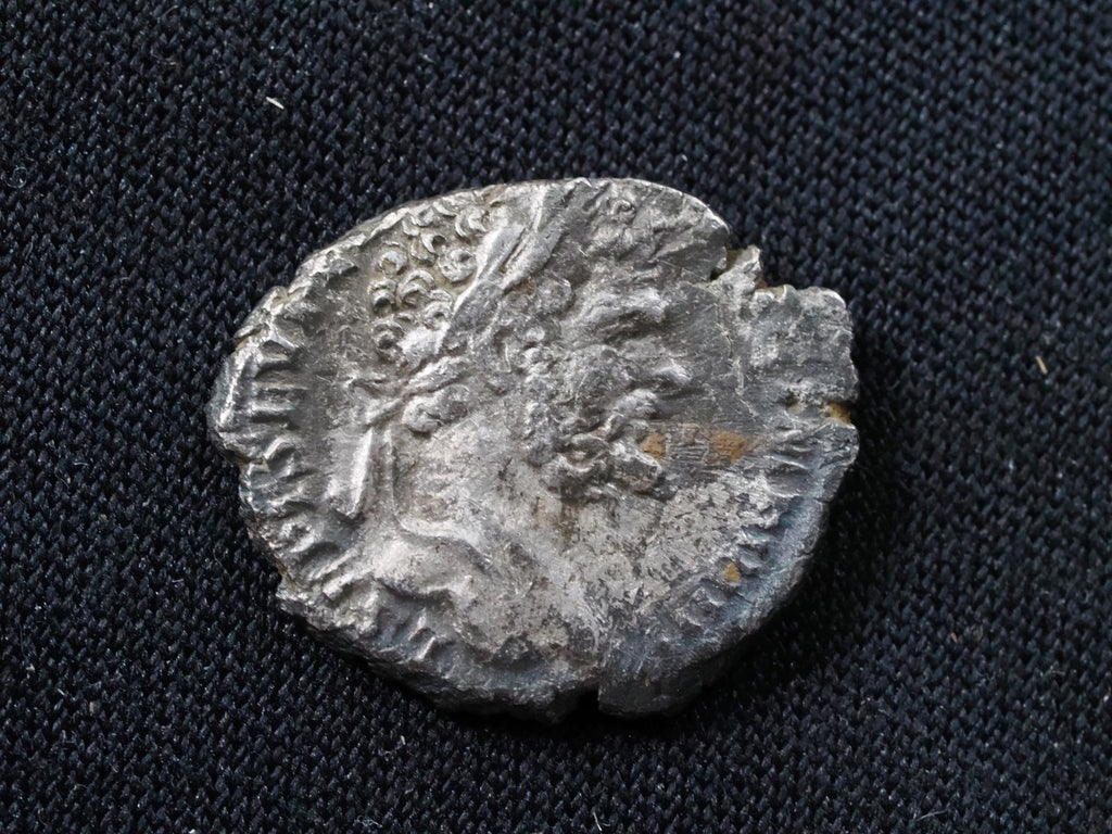 Septimus Severus denarius-Genius reverse.0