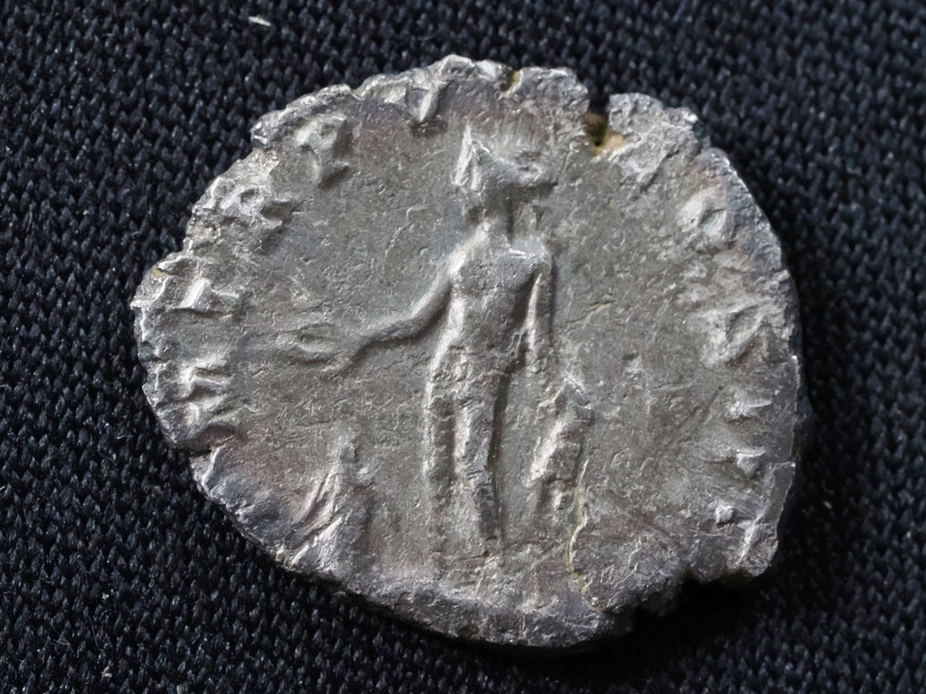 Septimus Severus denarius-Genius reverse.1