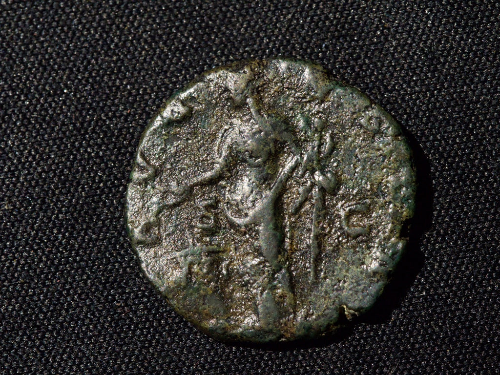 Diva Faustina  ae as AVGVSTA Vesta Palladium1