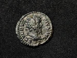 Septimius Severus Denarius-Fundator Pacis-Black patina