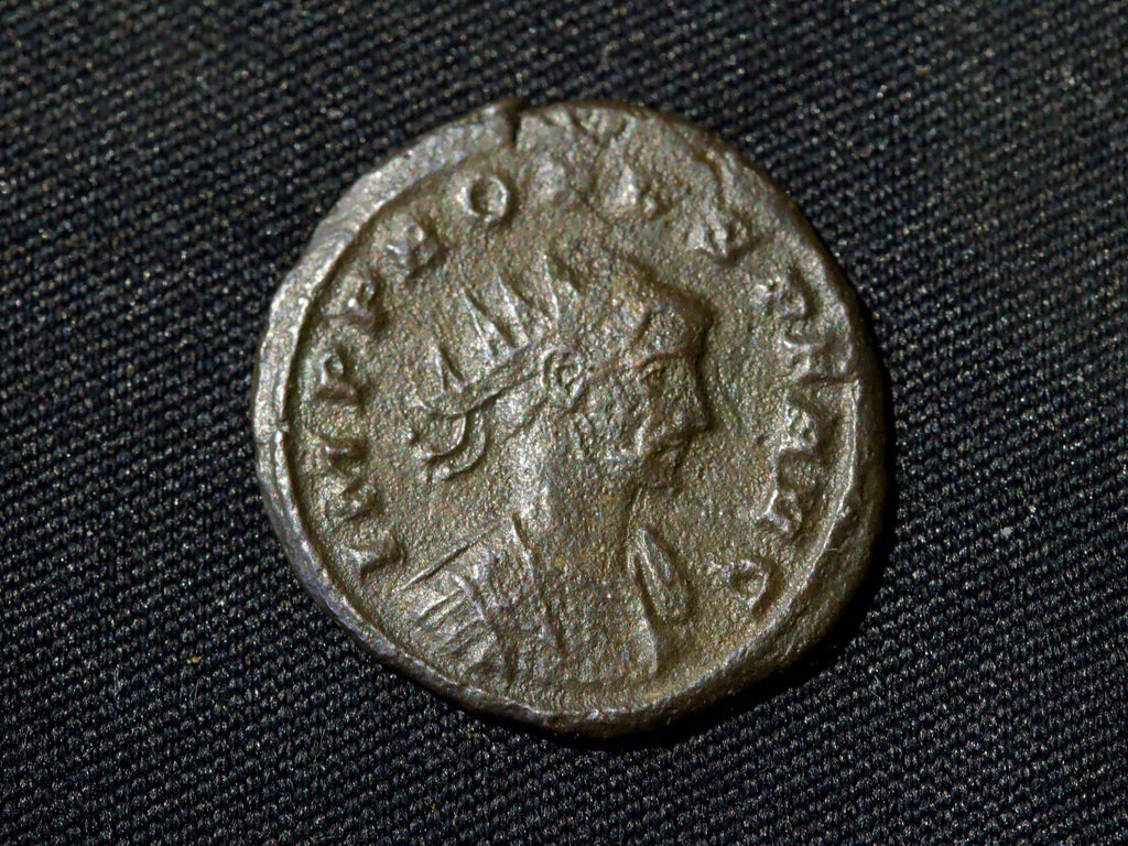 Probus Antoninianus, Concordia1