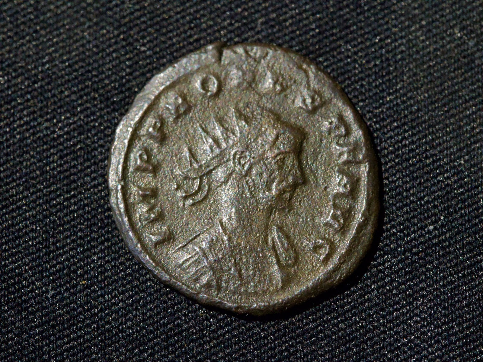 Probus Antoninianus, Concordia1