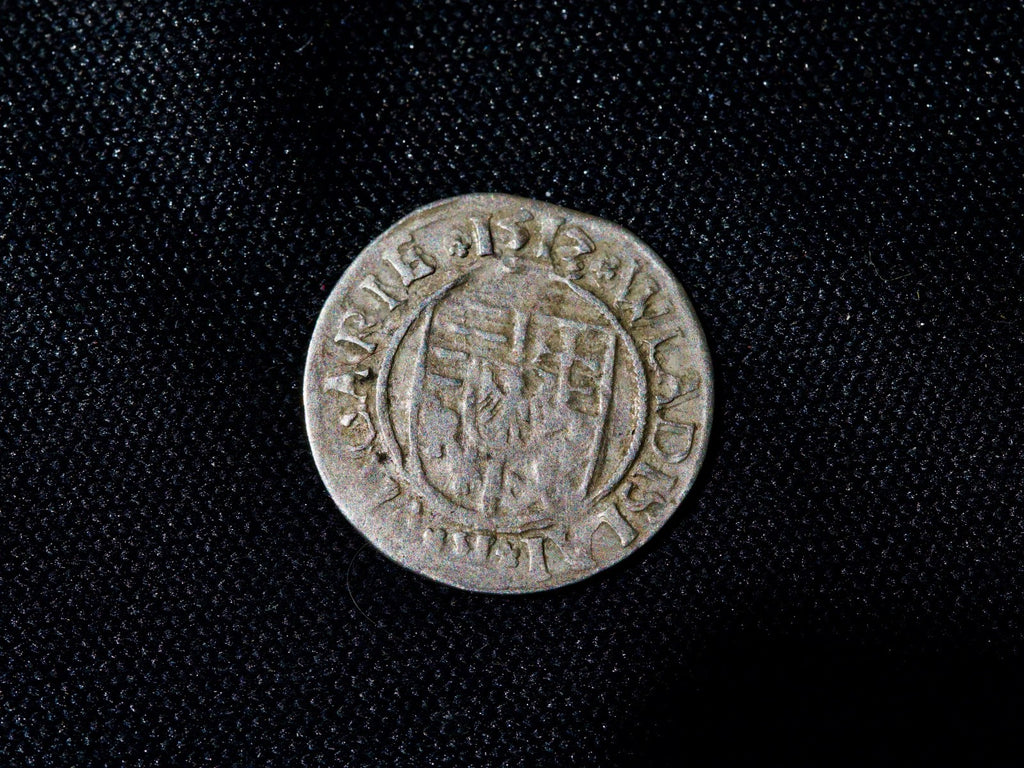 Hungary-denar  Ludovicus II-15171