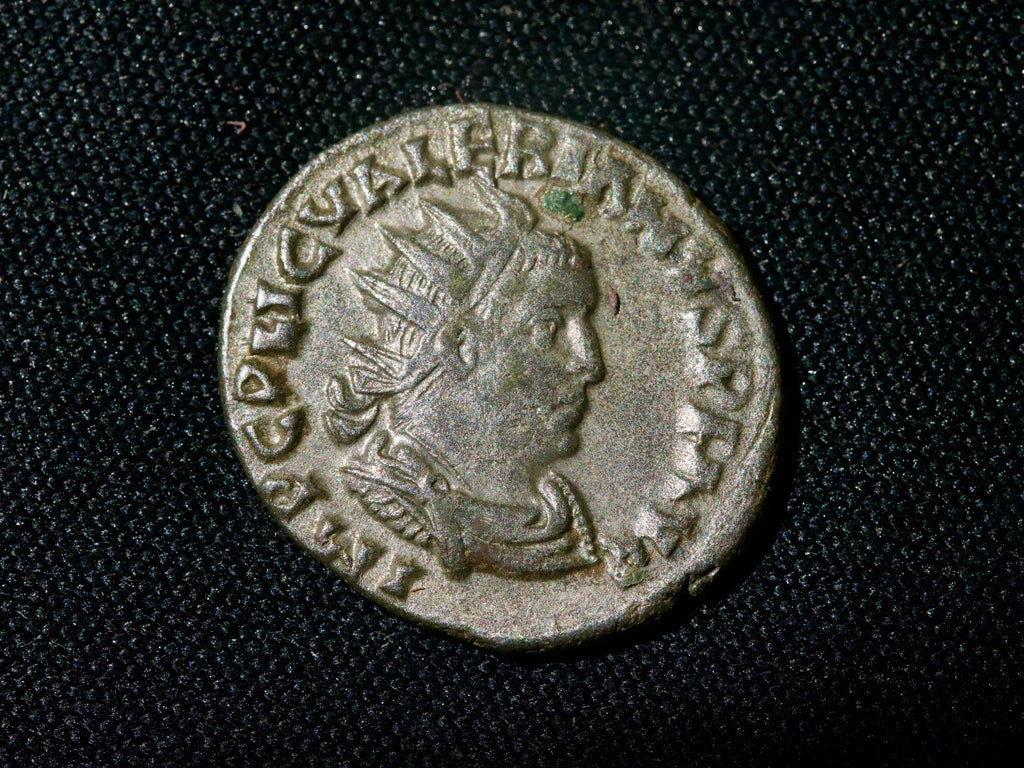 Valerian I antoninianus , Felicitas0