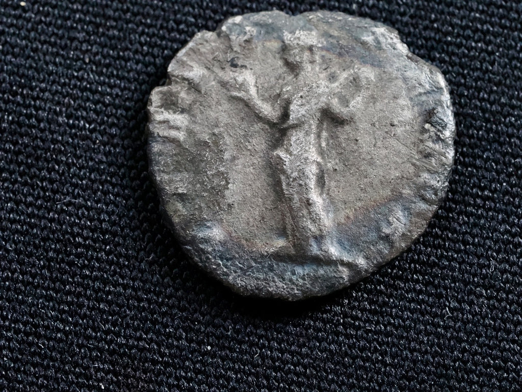 Julia Doma denarius-  VENUS FELIX0