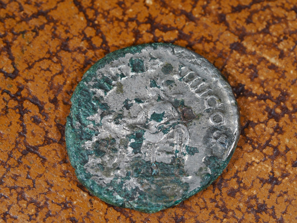 Julia Domna fourree denarius - UK find1