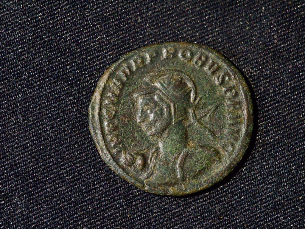 Probus Antoninianus, Virtus Probi0