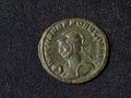 Probus Antoninianus, Virtus Probi0