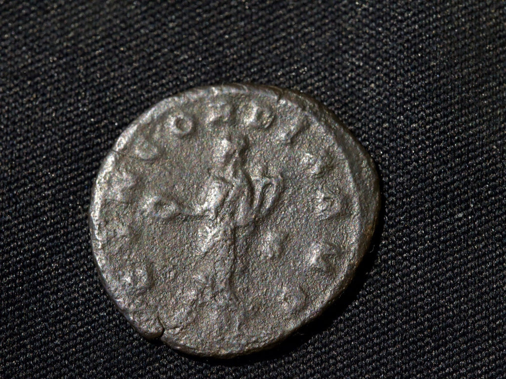 Probus Antoninianus, Concordia0