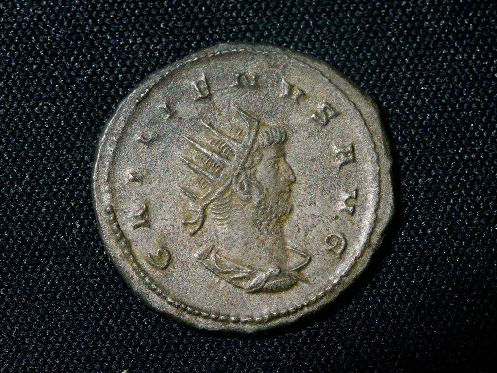 Gallienus  antoninianus Virtus-Hercules0