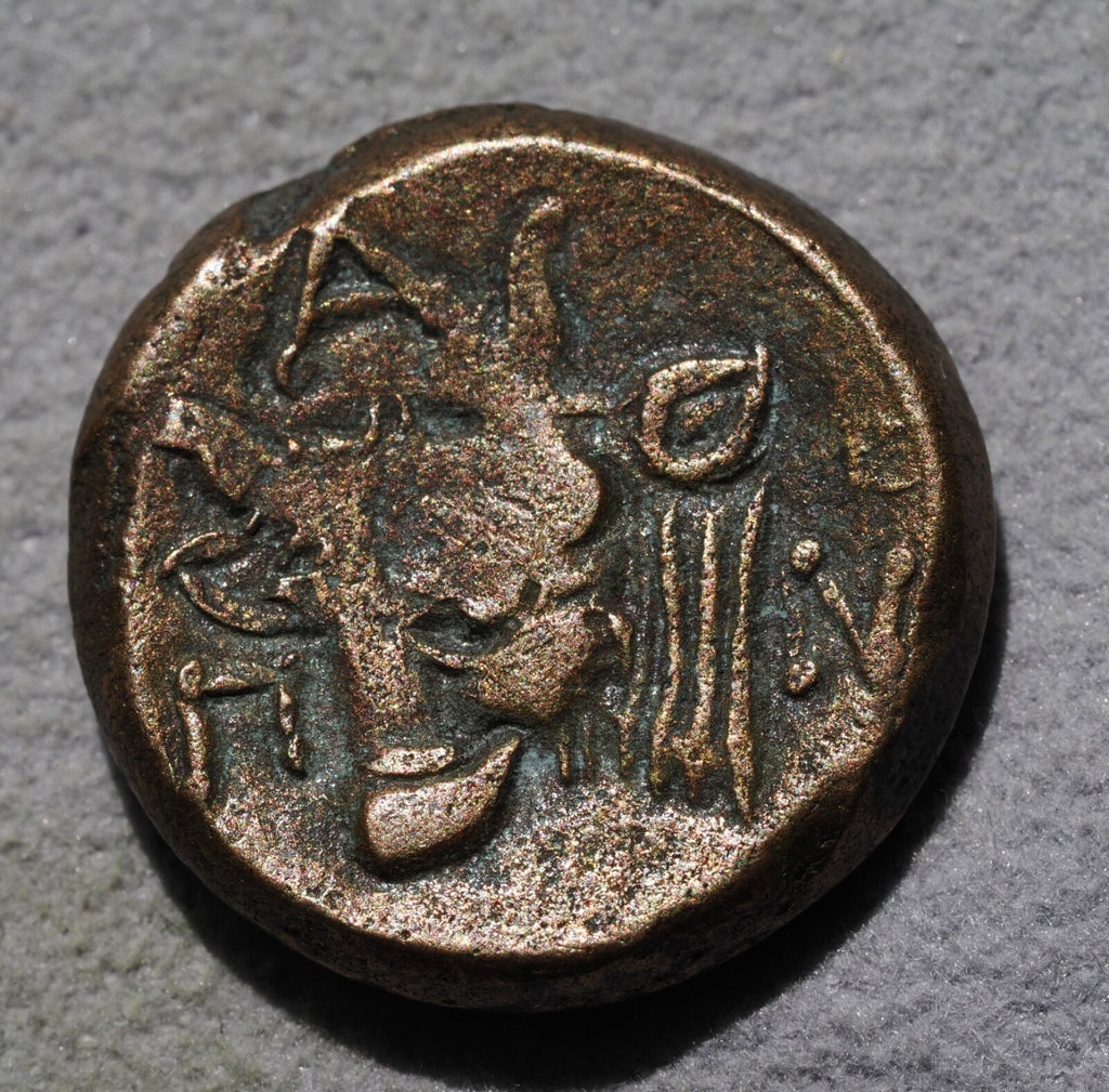 Bosporus, Pantikapaion, AE16. c. 325-310 BC, Satyr facing left/Bull's head1