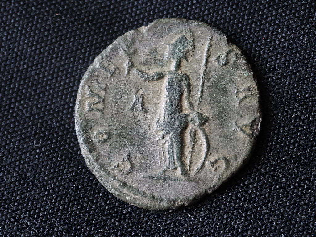 Antoninianus Of Probus - Minerva-COMES AVG1