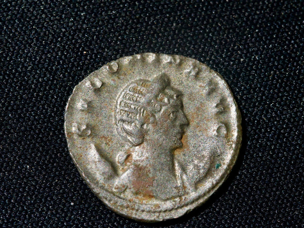 Salonina antoninianus-Venus, cupid at feet1