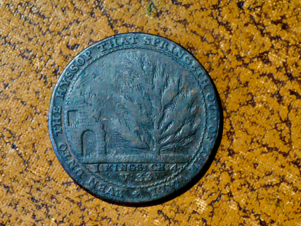 Somerset Bath Token Botanic Gardens Halfpenny  1794 Plain edge1