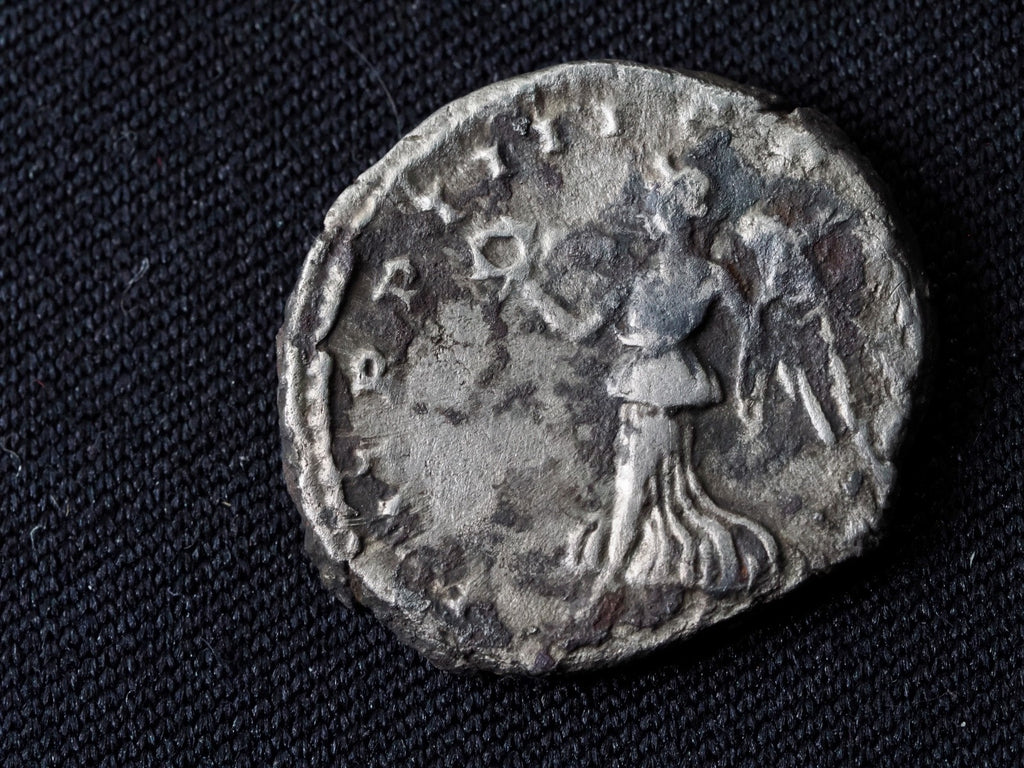 Septimus Severus denarius-Victory reverse.1