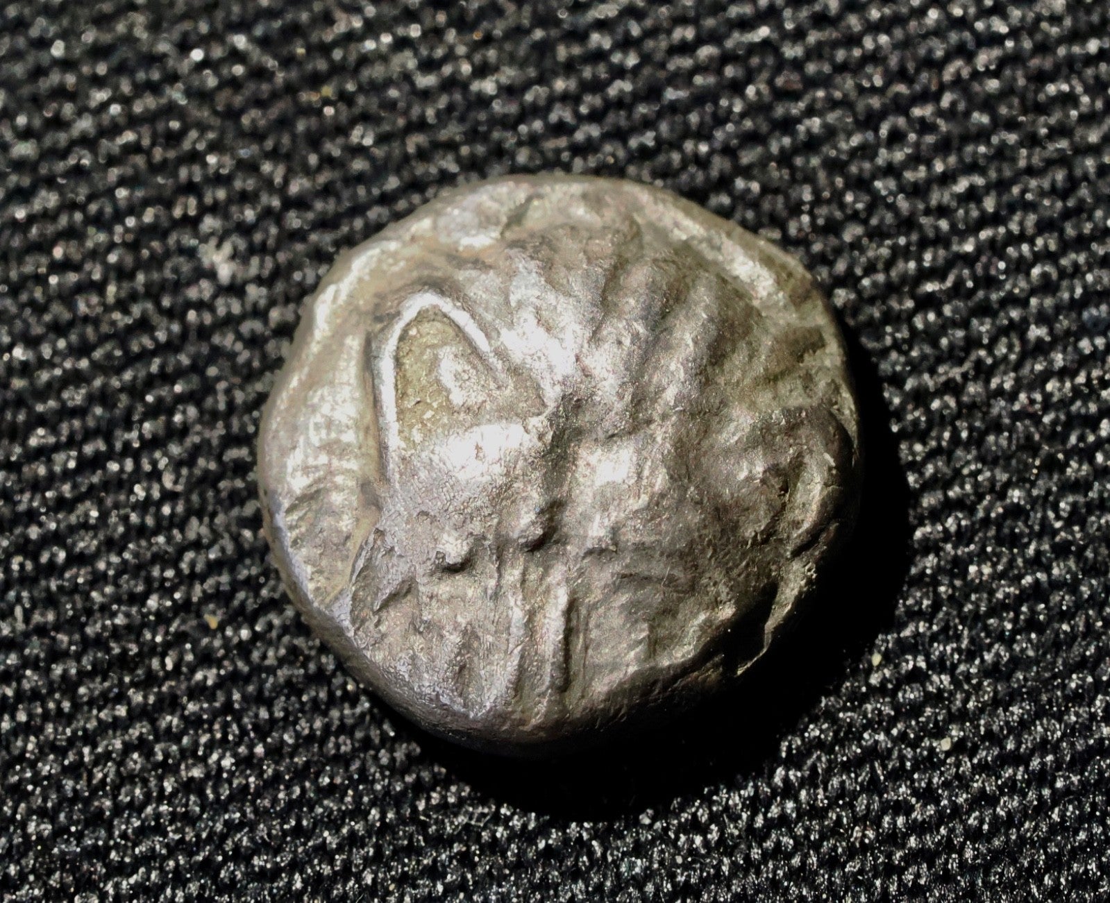 CIMMERIAN BOSPOROS, Pantikapaion. Lions head facing.  Circa 470-460 BC. AR Obol0