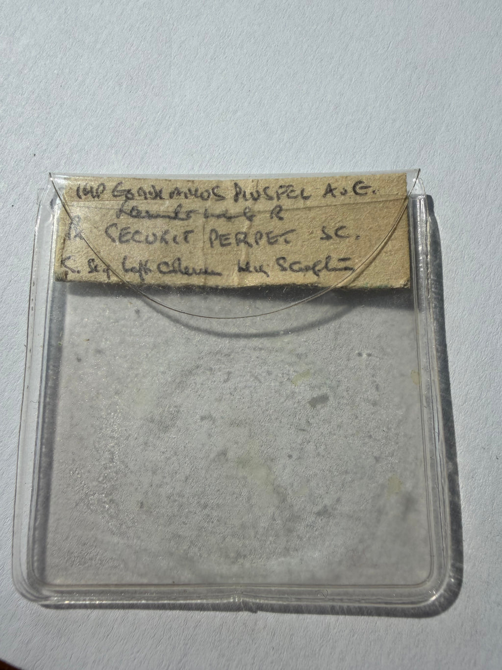 Roman Empire Sestertius Gordian III. 238-244 Securitaas-high grade