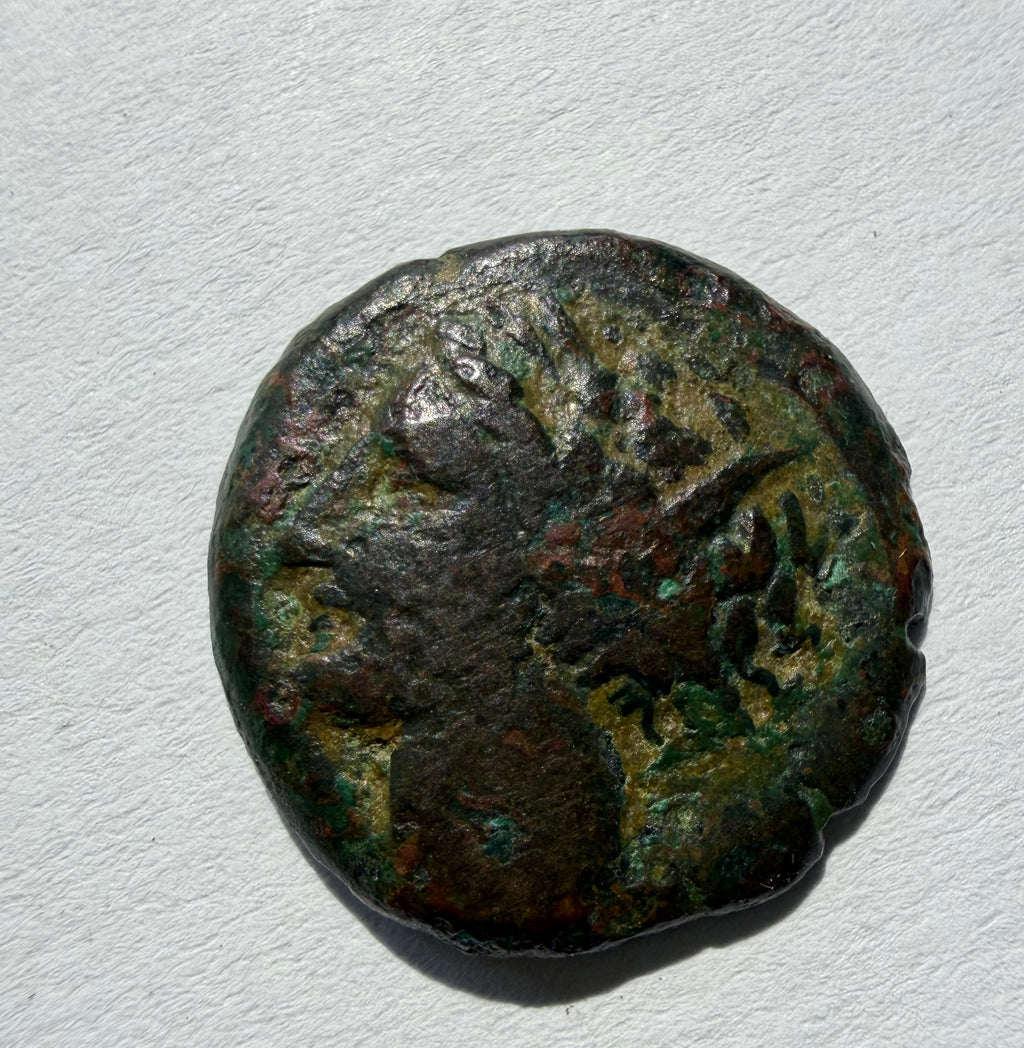 Carthage ae16.Head of Tanit left. Horse standing right palm behind 3rd centuryBC
