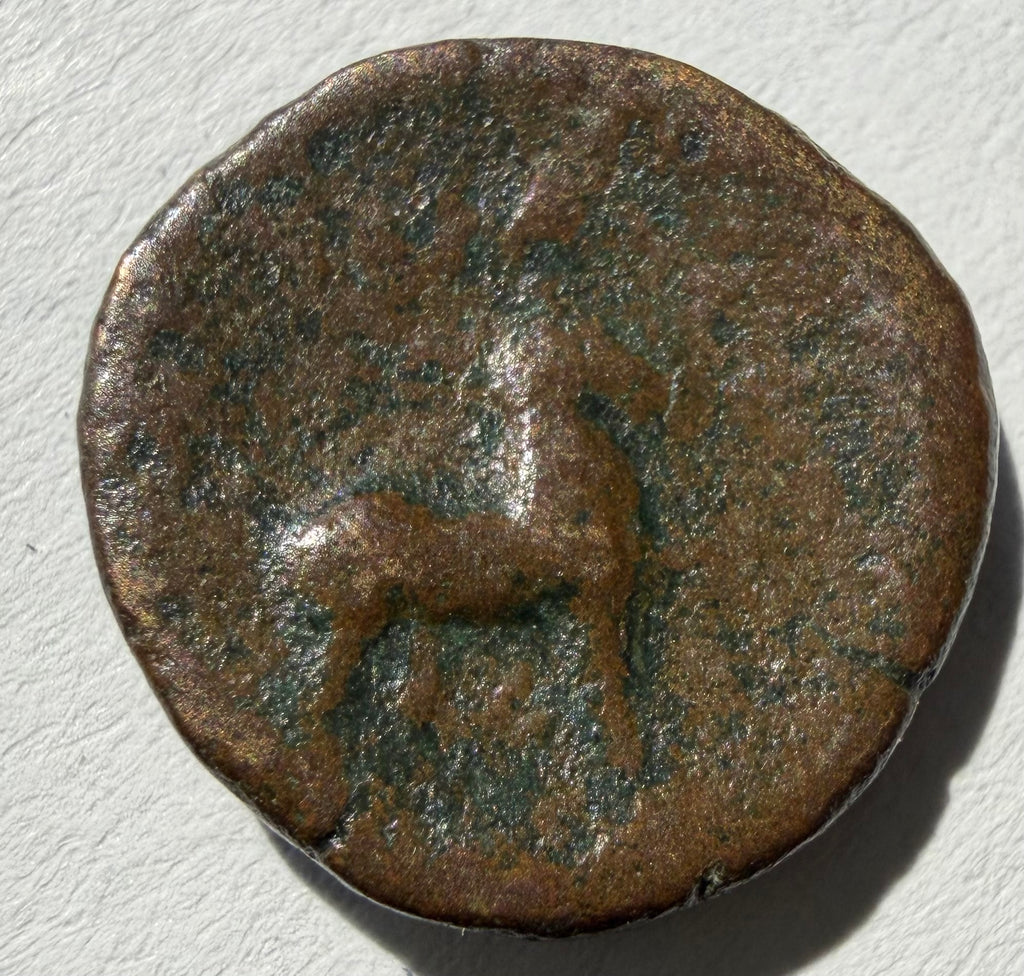 Kingdom of Numidia, King Micipsa (c. 148–118 BCE). Chalkous-Horse prancing right