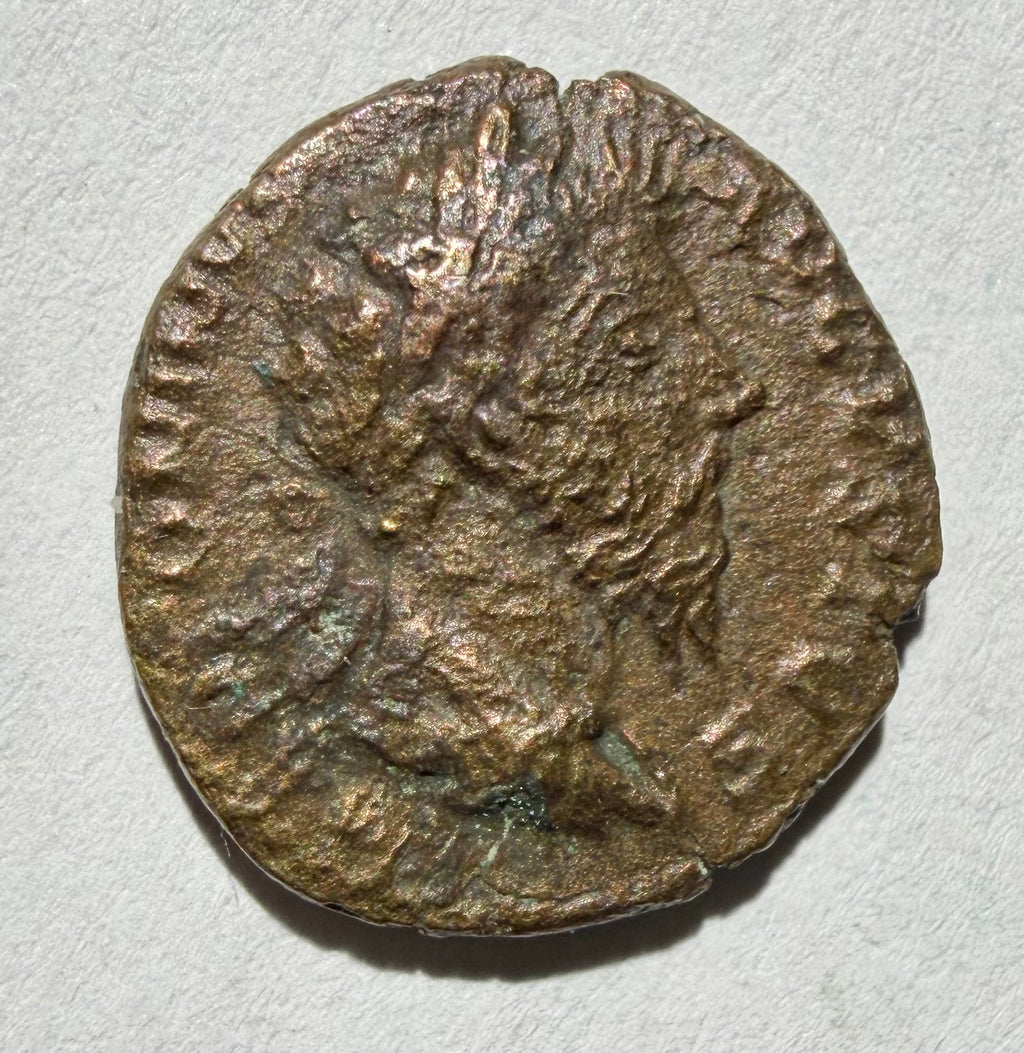Marcus Aurelius ae 18, Bostra, Horned head of Zeus Ammon right
