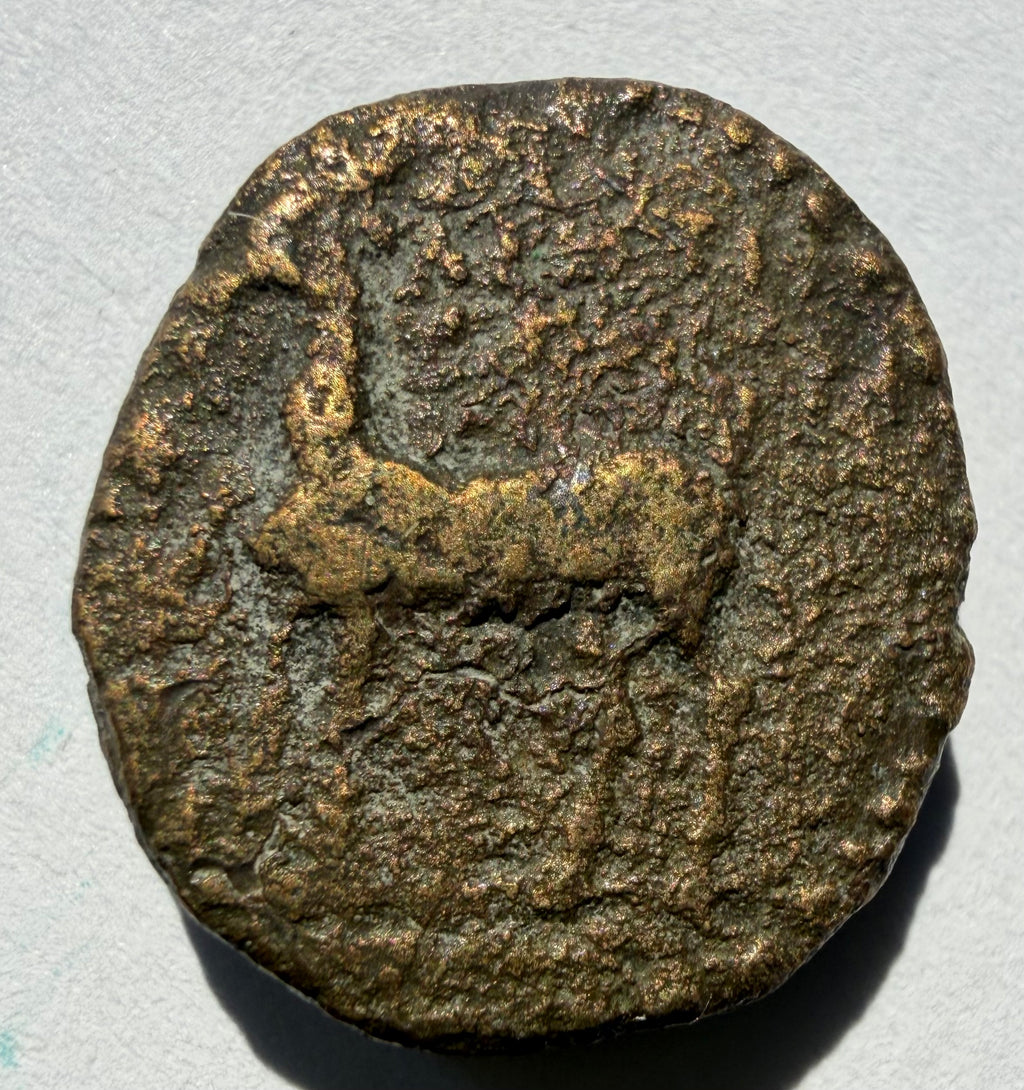 CYRENAICA.CYRENE.Circa 300 BC.AE17. Gazelle left / Silphium plant.