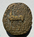 CYRENAICA.CYRENE.Circa 300 BC.AE17. Gazelle left / Silphium plant.