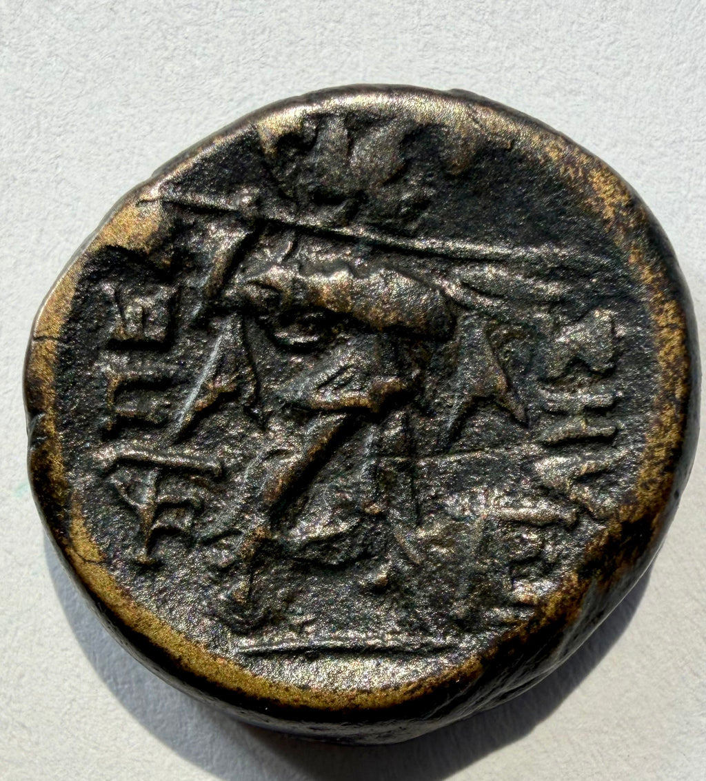 Pella Macedonia bronze AE22-Pan and Athena-Superb portrait-BMC 8