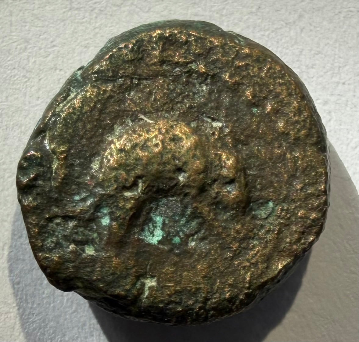 CYRENAICA 3rd c BCE .Crab-Rabbit or hare on reverse AE12-3.97 grams-undescribed?