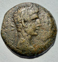 Alexandria. Augustus. Æ Diobol, Nike standing facing, head left, holding wreath