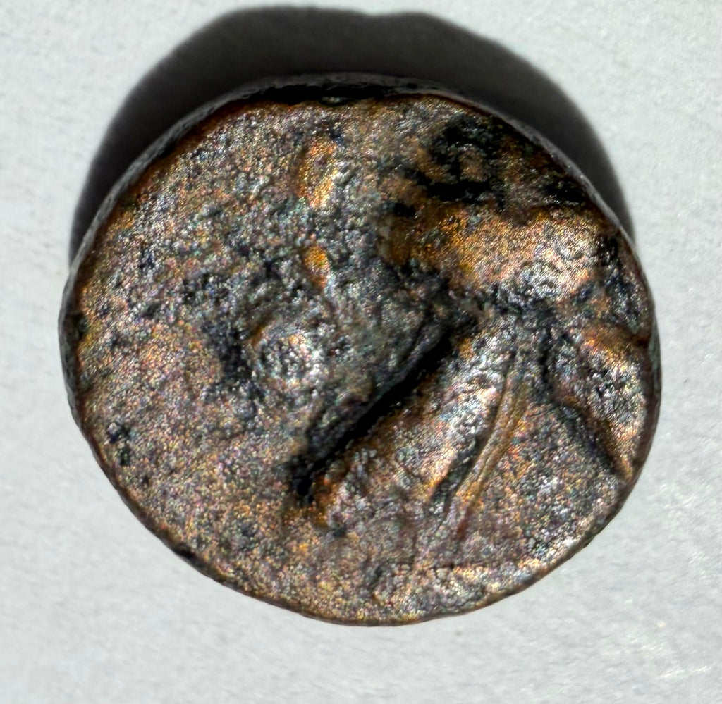 Athens ae10. Athena head right. Rev two owls facing within wreath