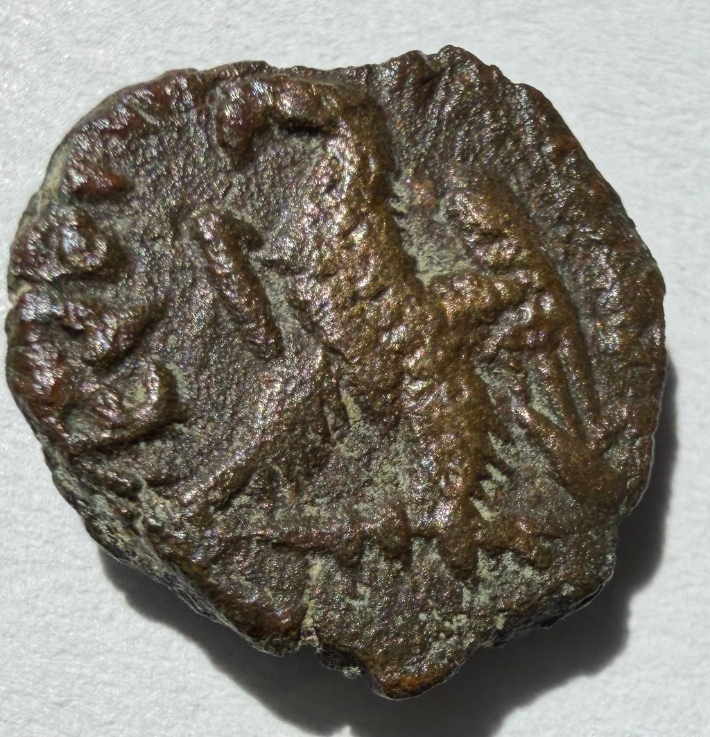 AE14 Ptolomy bronze coin. Head of Zeus. Eagle standing left