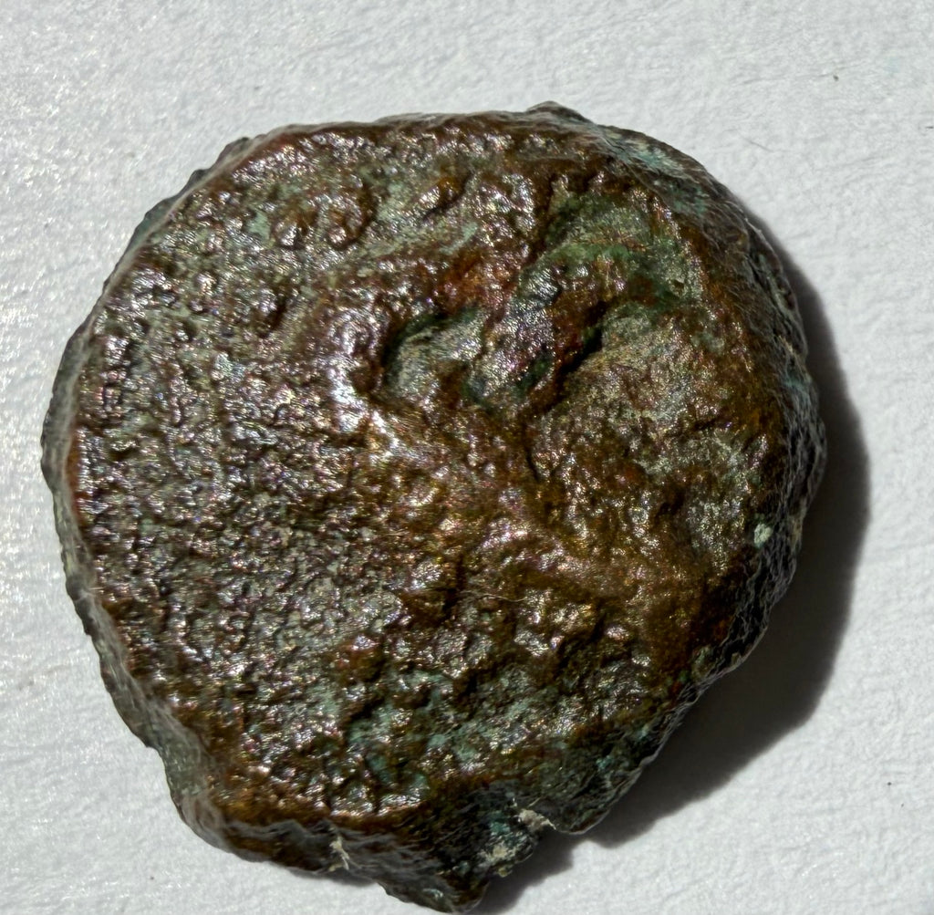 AE14 Ptolomy bronze coin. Head of Zeus. Eagle standing left