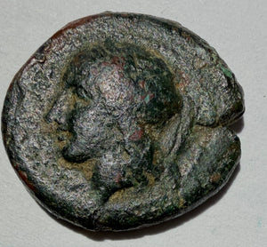 275-215 BC Syracuse Hieron II . Persephone left. Reverse Bull butting left