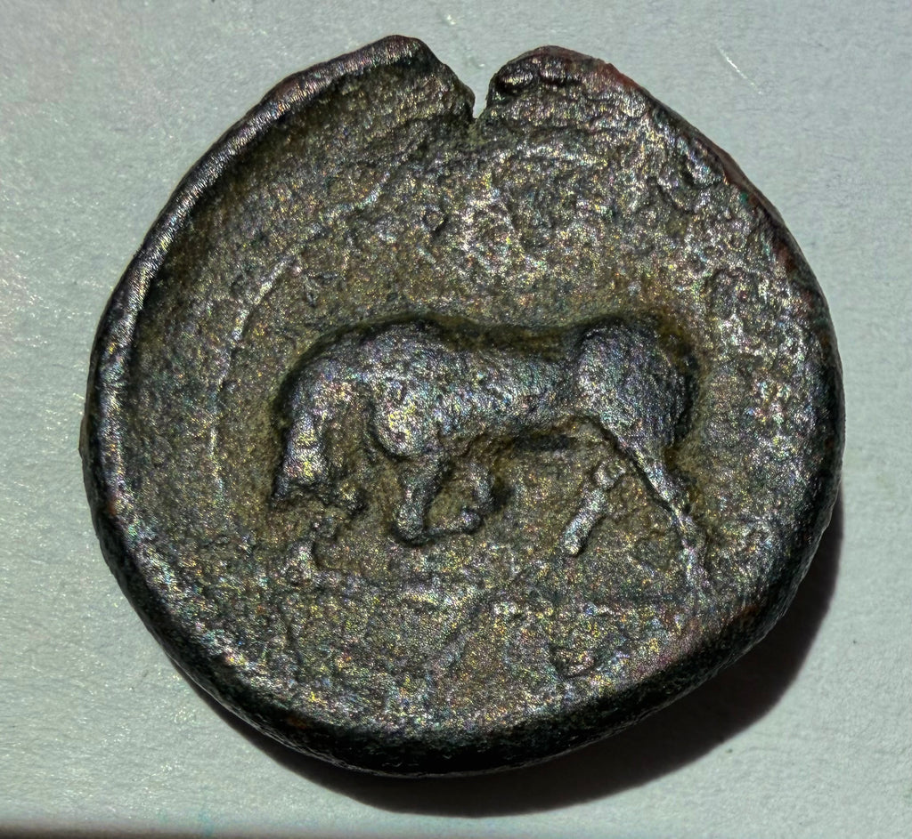 275-215 BC Syracuse Hieron II . Persephone left. Reverse Bull butting left