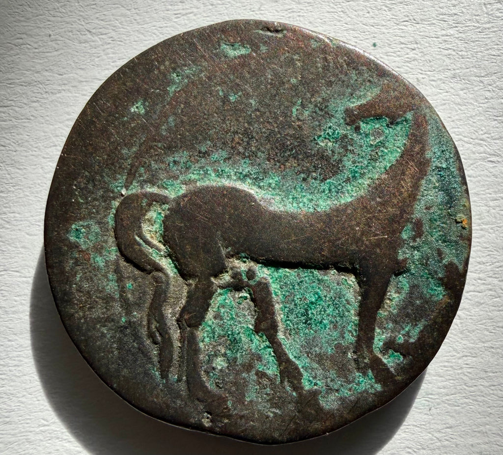 CARTHAGE,C 215-201 BC. Æ Shekel (24mm). Carthage.Head of Tanit left, horse right