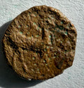CYRENAICA. CYRENE.Circa 300 BC.AE10.Horse prancing right-small 10mm bronze