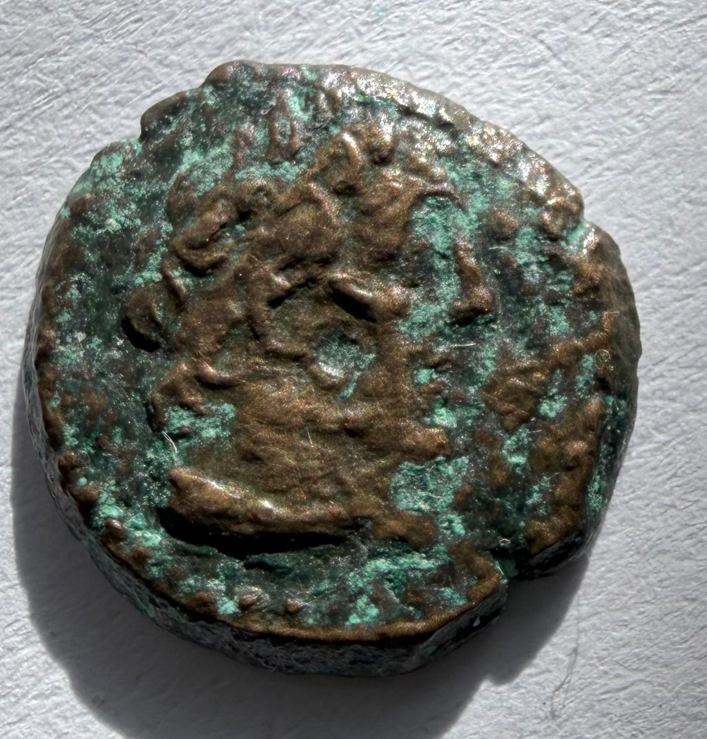 Cyrenaica, head of Zeus-Ammon, Head of Libya ae10-3rd c BC